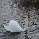 DSC_0233.JPG