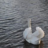 DSC_0241.JPG