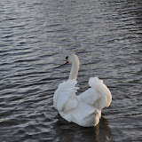 DSC_0244.JPG