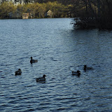 DSC_0266.JPG