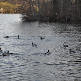 DSC_0276.JPG