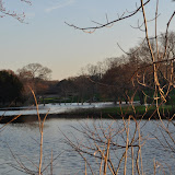 DSC_0291.JPG