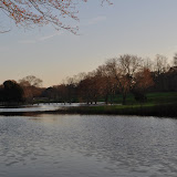 DSC_0290.JPG