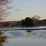 DSC_0294.JPG