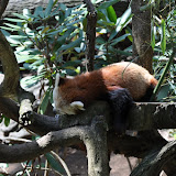 DSC_0081.JPG