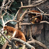 DSC_0098.JPG