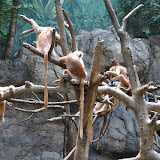 DSC_0104.JPG