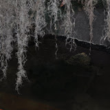 DSC_0038.JPG