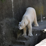 DSC_0061.JPG