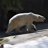 DSC_0063.JPG