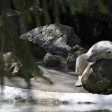DSC_0078.JPG