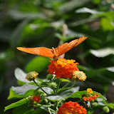 DSC_0255.JPG