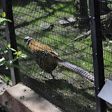 DSC_0235.JPG