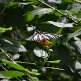 DSC_0251.JPG