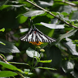 DSC_0253.JPG