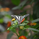 DSC_0254.JPG