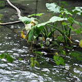 DSC_0115.JPG