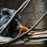 DSC_0125.JPG