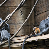 DSC_0129.JPG