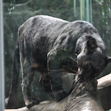 DSC_0140.JPG