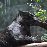 DSC_0144.JPG