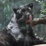DSC_0148.JPG