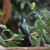 DSC_0152.JPG
