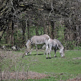 DSC_0162.JPG