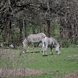 DSC_0163.JPG