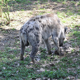 DSC_0166.JPG