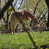 DSC_0175.JPG