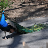 DSC_0180.JPG