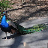 DSC_0181.JPG