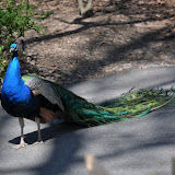 DSC_0182.JPG