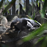 DSC_0183.JPG