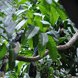 DSC_0196.JPG