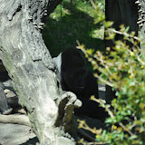 DSC_0216.JPG
