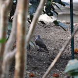 DSC_0263.JPG