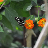DSC_0269.JPG
