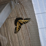 DSC_0282.JPG