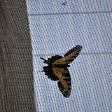 DSC_0286.JPG
