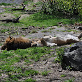 DSC_0083.JPG