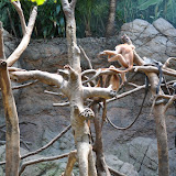DSC_0102.JPG