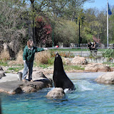 DSC_0346.JPG