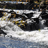 DSC_0371.JPG
