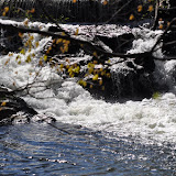 DSC_0373.JPG
