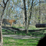 DSC_0391.JPG