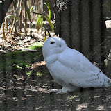 DSC_0399.JPG