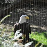 DSC_0404.JPG