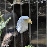 DSC_0407.JPG